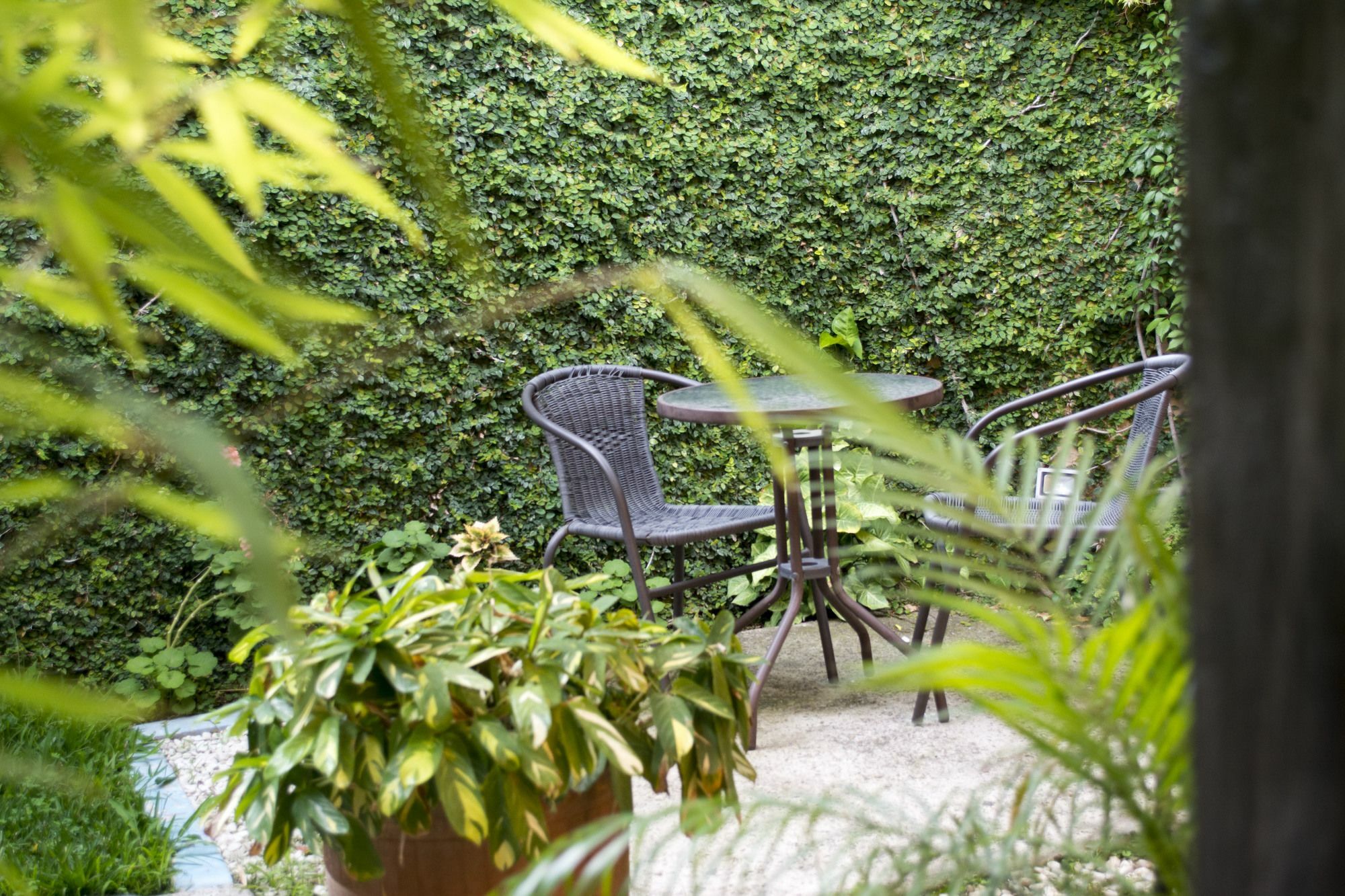 Casa Bella Boutique Hotel Antigua Exterior photo